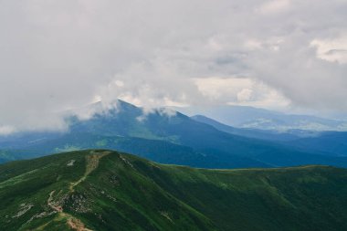 Orman. Yeşil dağ orman manzarası. Dağ orman. Fantastik orman manzara. Dağ orman bulutlar manzara içinde. Sisli orman. Dağ orman manzarası. Karanlık ormanda haze manzara.