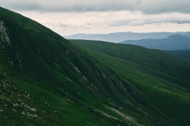 Yeşil yemyeşil çimenler ve taşlarla kaplı dağlar ve ovalar. Bulutların sisli olduğu dağ ormanı. Dağ ormanı manzarası.
