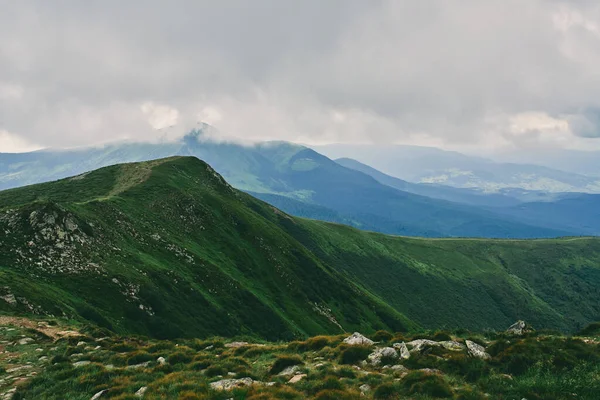 緑豊かな草や石と山や平野 雲の霧の中で山の森 山林景観 — ストック写真