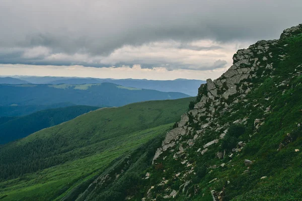 Mountains and plains with green lush grass and stones. Mountain forest in the fog of clouds. Mountain forest landscape.