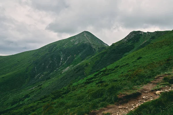 草や石で覆われた山岳地帯の風景 曇った山の風景 — ストック写真