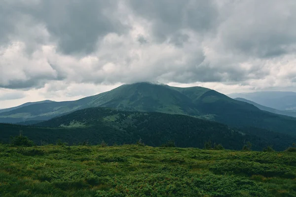 草や石で覆われた山岳地帯の風景 曇った山の風景 森は霧と雲に覆われている — ストック写真