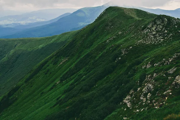 Montagne Pianure Con Erba Verde Lussureggiante Pietre Foresta Montagna Nella — Foto Stock