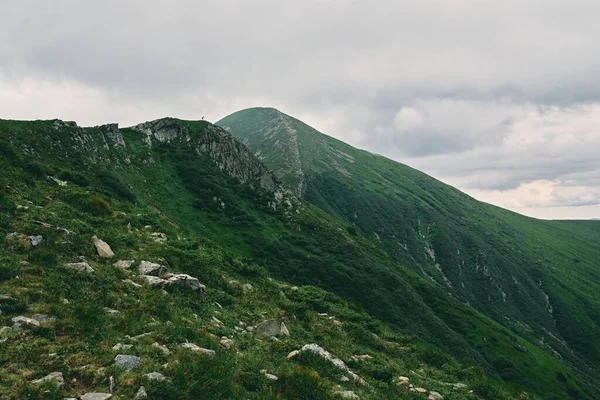 草や石で覆われた山岳地帯の風景 距離では 観光客が山の頂上を征服した 曇った山の風景 — ストック写真