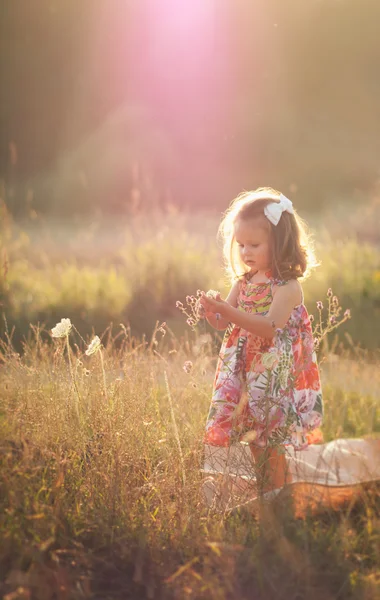 Little girl standing in the field keeping hands together in fairy sunset light — Stock Photo, Image