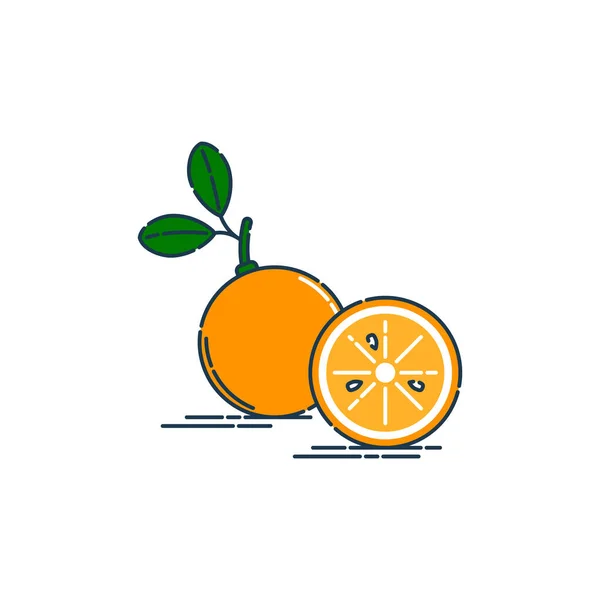Inteiro Cortado Meia Tangerina Laranja Fruta Isolada Sobre Fundo Branco —  Vetores de Stock