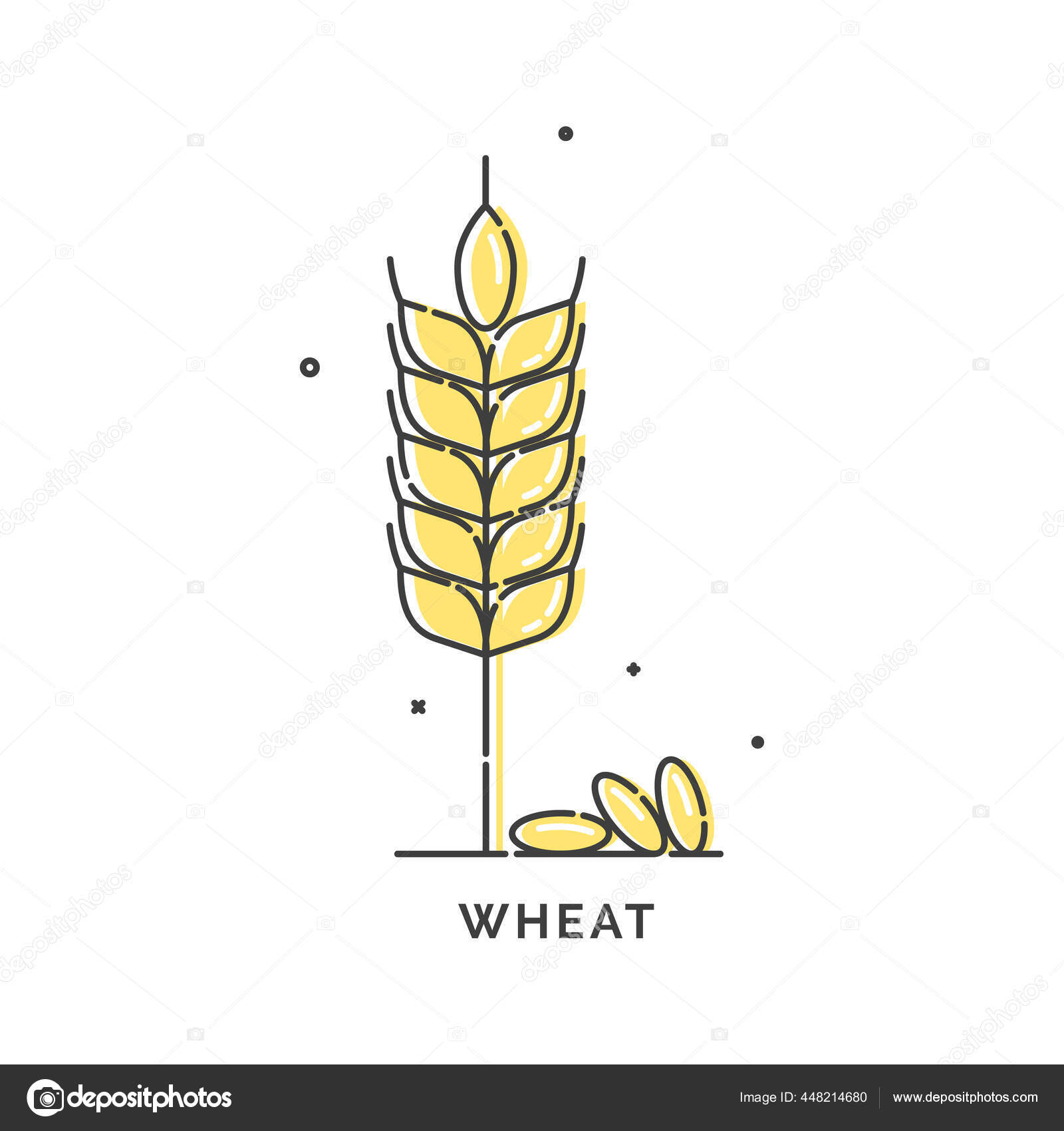 Farm Wheat Ears Icon Line Whole Grain Symbol Illustration Organic Stock