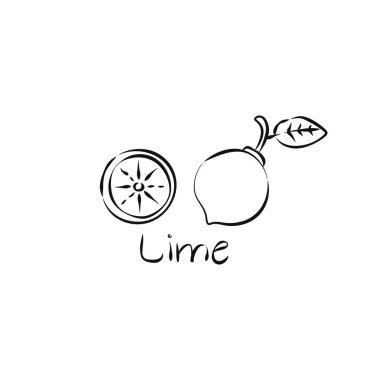 Limonlu el, beyaz arka planda klasik tarzda meyve çizer. Çizgi çalışması. Çizim botanik çizimi. Citrus meyvesi. Dekorasyon tasarımı için serbest çizim resmi. Sağlıklı gıda konsepti