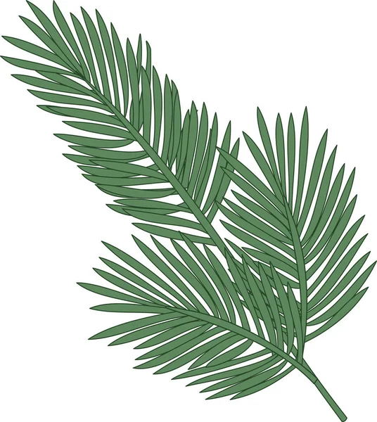 Vector image of a green spruce twig — Stockvector