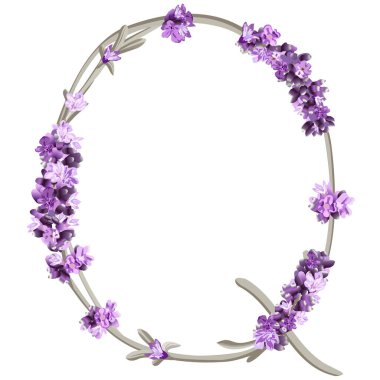 İngiliz alfabesinin büyük harfi Q 'nun vektör görüntüsü beyaz arkaplanda parlak renklerde lavanta filizi şeklinde.