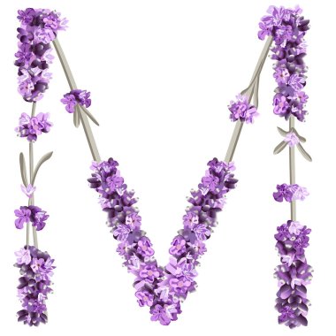 İngiliz alfabesinin büyük harfi M 'nin vektör görüntüsü beyaz arkaplanda parlak renklerde lavanta filizi şeklinde.