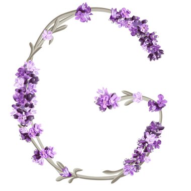 İngiliz alfabesinin G harfinin vektör resmi lavanta şeklinde.