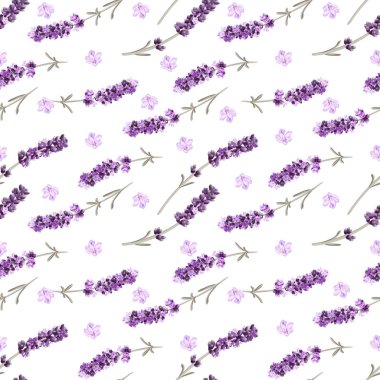 Beyaz arka planda lavanta filizi ve pembe çiçekli kusursuz vektör deseni