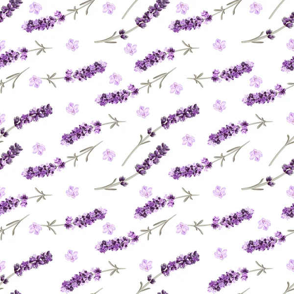 Vector seamless pattern with lavender sprigs and pink flowers — Vector de stock