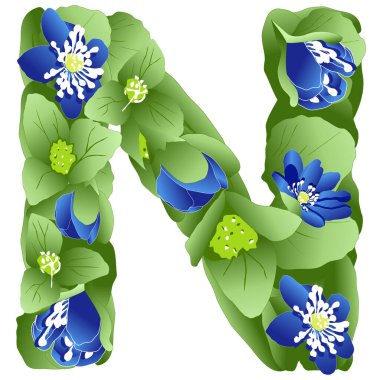 İngiliz alfabesinin N harfinin vektör görüntüsü. Çiçek ve yeşil renkli karaciğer otu yaprakları şeklinde yapılmış.