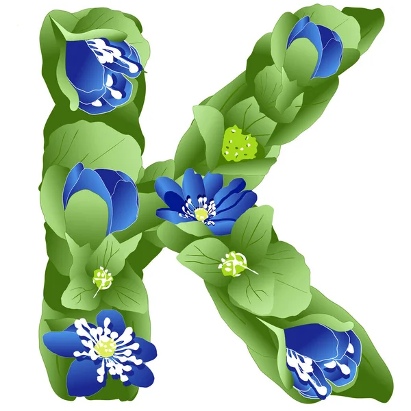 Vector Image Letter English Alphabet Made Form Flowers Leaves Liverwort — 스톡 벡터