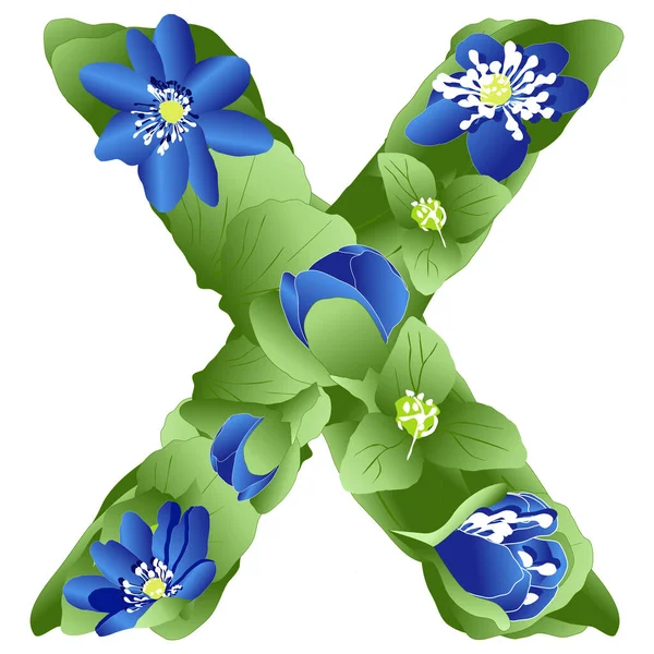 İngiliz alfabesinin X harfinin vektör görüntüsü. Çiçek ve yeşil renkli karaciğer otu yaprakları şeklinde yapılmış.