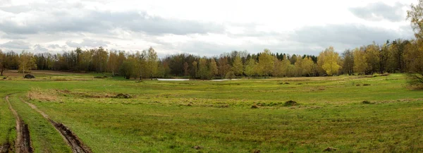 Панорамный Вид Природный Заповедник Blockheide Районе Forestquarter Австрия — стоковое фото