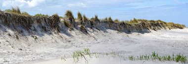 Zingst, Almanya yakınlarındaki Baltık Denizi 'nin kumlu sahillerindeki erozyonun panoramik görüntüsü