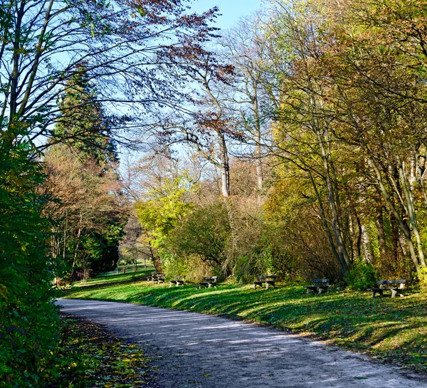 Pasarela Con Bancos Jardín Reserva Vida Silvestre Lainzer Tiergarten Viena —  Fotos de Stock