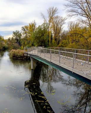 Avusturya 'nın Tulln kentindeki nehir ormanındaki bir su yolu üzerindeki yaya köprüsü (su zambakları köprüsü)