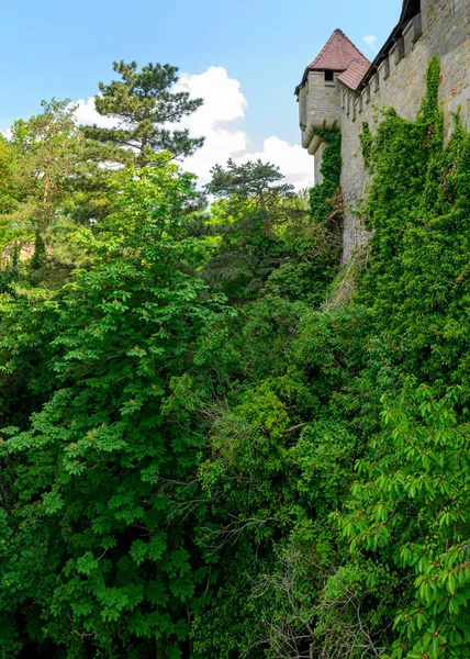 Vista Fosso Castelo Kreuzenstein Coberto Por Árvores Para Uma Parede — Fotografia de Stock