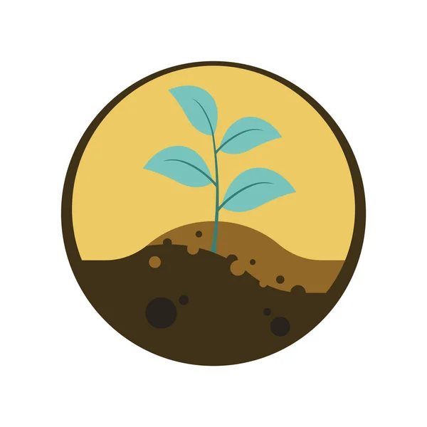 Roślina Rosnąca Ogródku Kopiecowym Pokazująca Warstwę Gleby Koncepcja Ochrony Gleby — Wektor stockowy