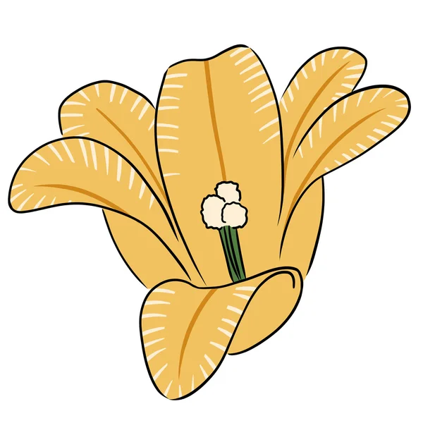 Vector kunst bloem beeldverhaal lily geel — Stockvector