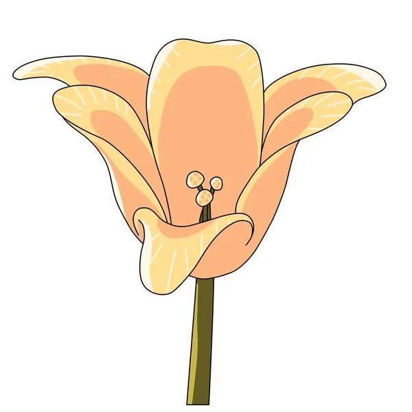 Векторне мистецтво квітка тюльпан жовтий — стоковий вектор