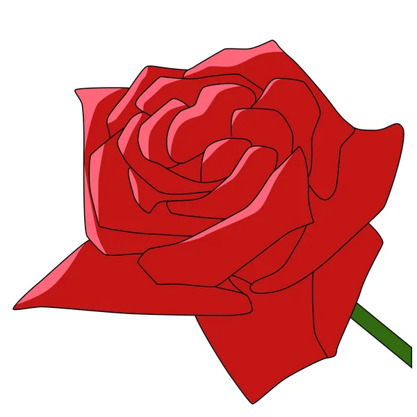 वेक्टर कला फूल गुलाब लाल — स्टॉक वेक्टर