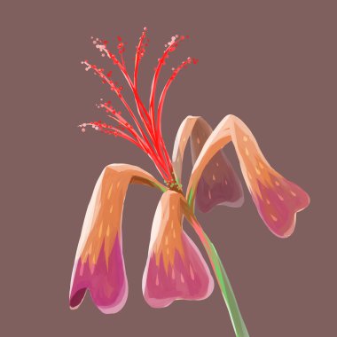 Resim izole fantezi çiçek kırmızı