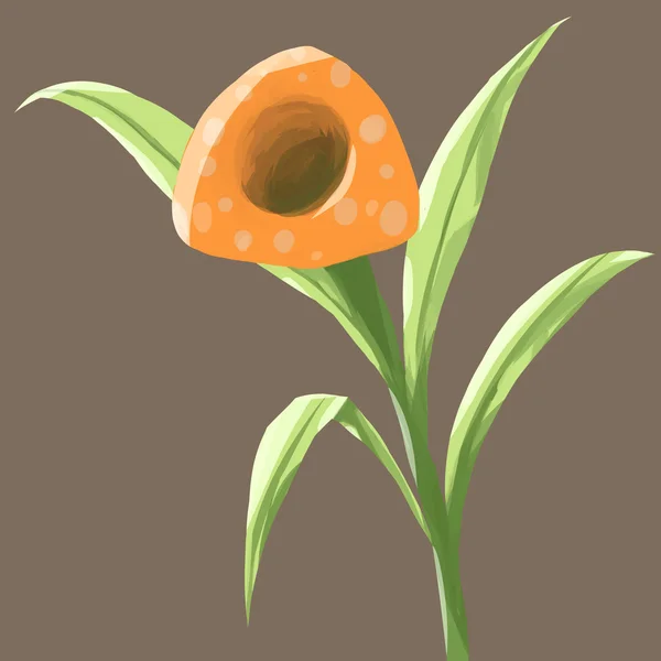 分離ファンタジーの花をオレンジに塗装 — ストック写真
