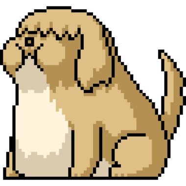 Kürklü şişman köpeğin piksel sanatı izole edilmiş arka plan