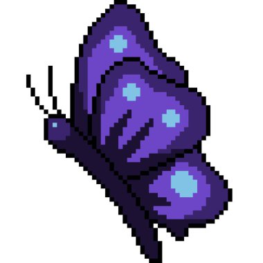 Böcek tarafının piksel sanatı izole edilmiş arkaplan