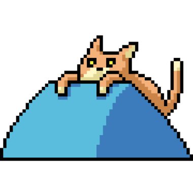 Kedi oyun sanatı Yastık tırmanma izole arka plan