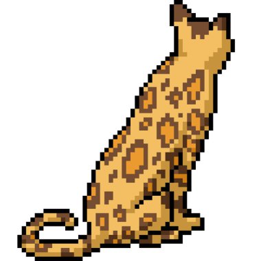 Leopar desenli kedinin piksel sanatı izole edilmiş arka plan