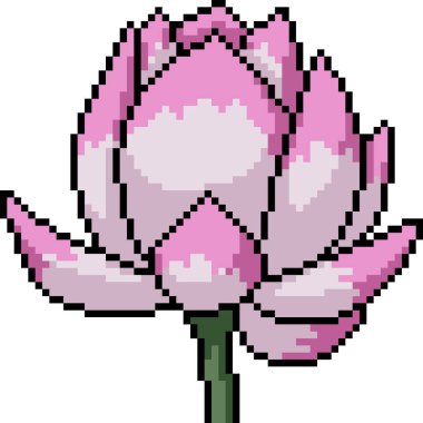 Pembe nilüfer çiçeğinin piksel sanatı izole edilmiş arkaplan