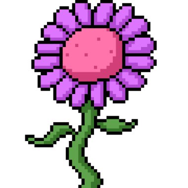 Fantezi mor ayçiçeği dans sanatının izole edilmiş arka planı