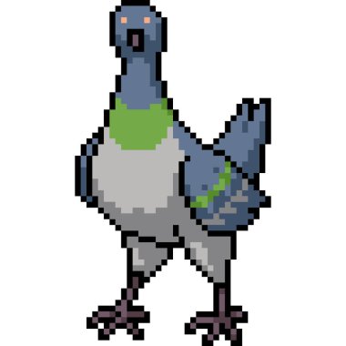 Güvercin piksel sanatı izole bir zemin oluşturur