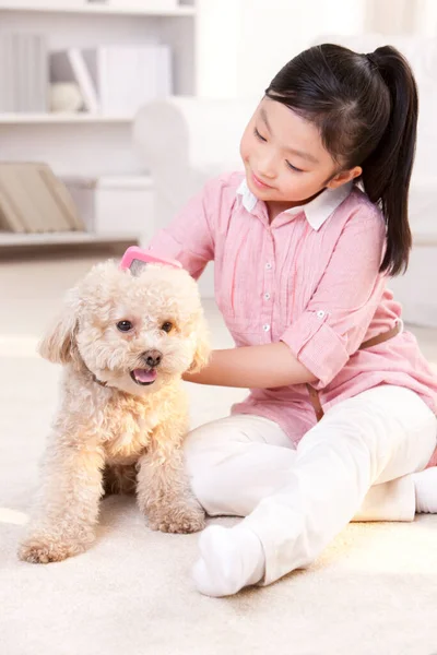 Little Chinese Girl Playing Pet Toy Poodle — Stock Photo, Image