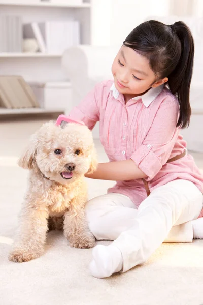 Niña China Jugando Con Caniche Juguete Para Mascotas — Foto de Stock