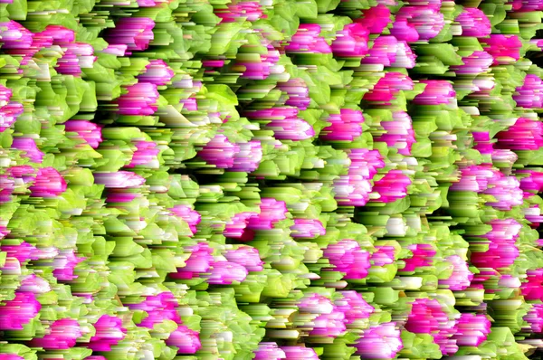 Abstrait florale floue colorée — Photo