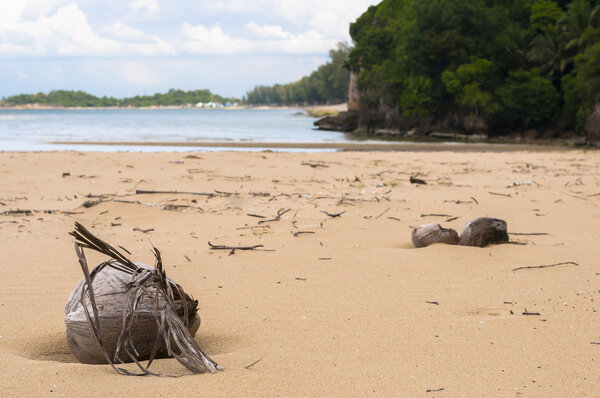 Desiccated Coconut on Beach