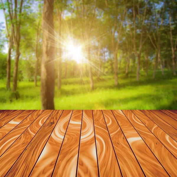 Abstract Plancia di legno e sfondo naturale — Foto Stock