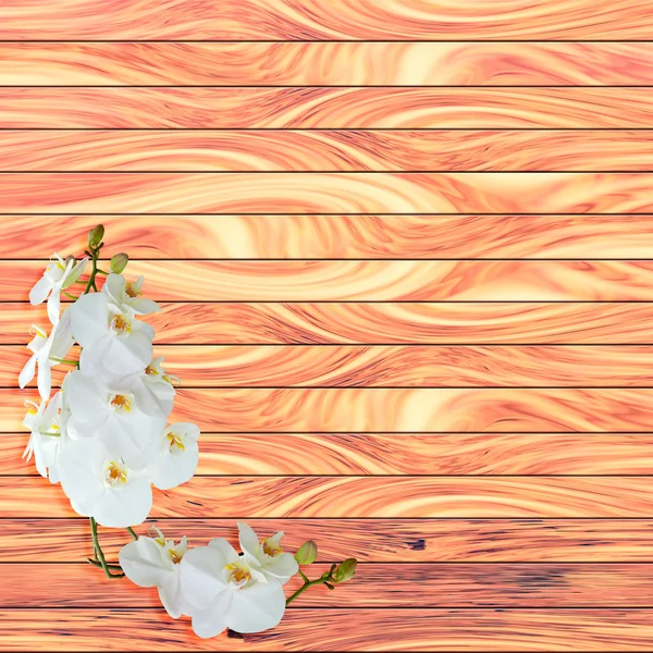 木板背景上的白色兰花 — 图库照片