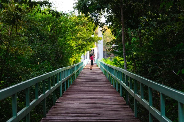 Caminhada em ponte suspensa através da ilha — Fotografia de Stock