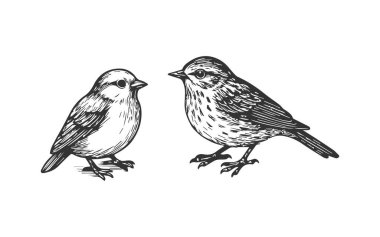 Karalama el çizimi küçük kuşlar için. Serçe oyma illüstrasyon seti. 