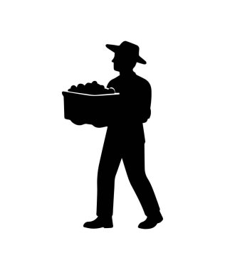 Silüet toplayan ve yeni toplanmış üzümleri taşıyan bir tarım işçisi.