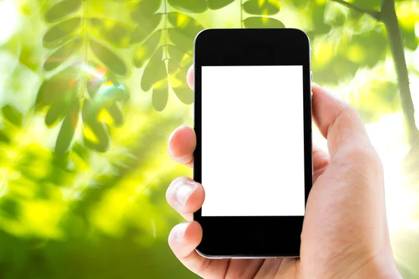 Mano celebración de teléfono con fondo de la naturaleza —  Fotos de Stock