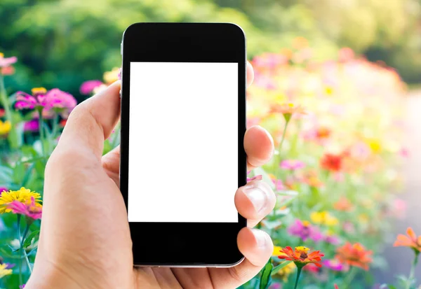 Ręka trzyma telefon z kwiatów tła — Zdjęcie stockowe